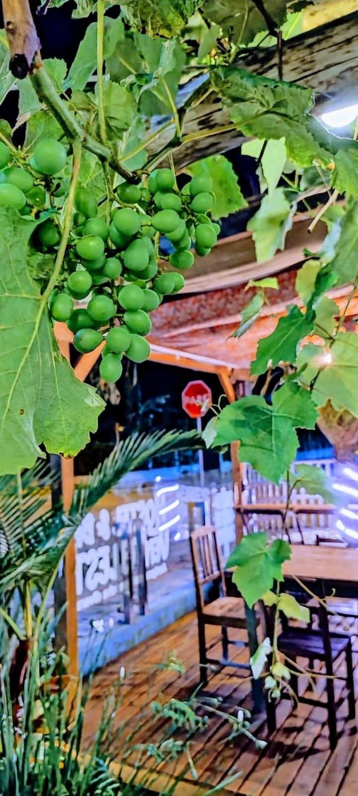 Hostel Vento Leste Bombinhas Εξωτερικό φωτογραφία
